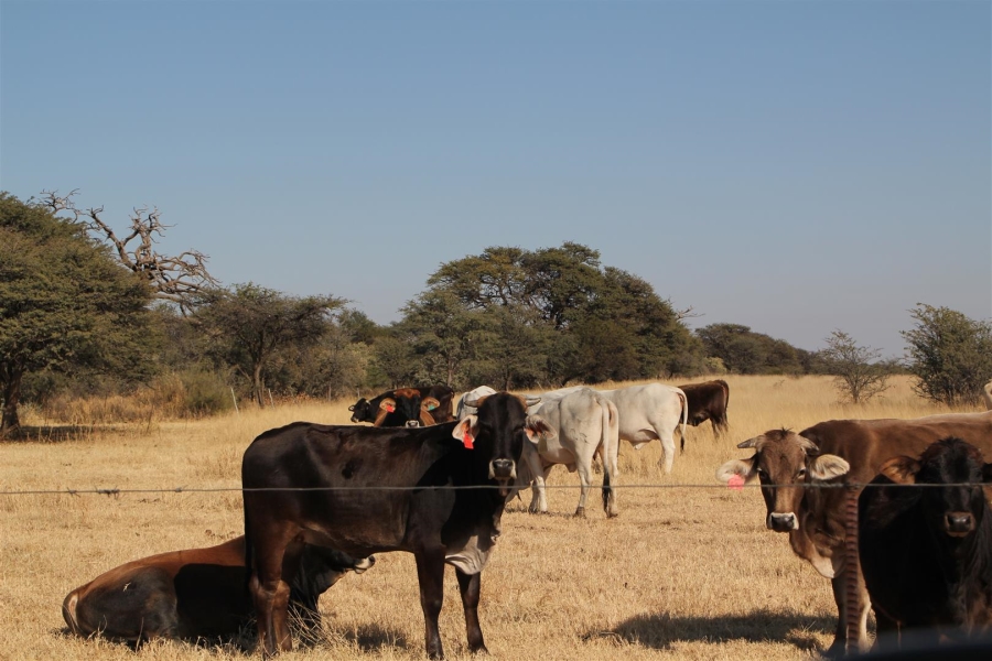 4 Bedroom Property for Sale in Vryburg Rural North West